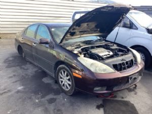 Lexus Other Other
