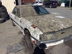 Nissan Skyline R30E 12/81-11/84