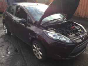 Ford Fiesta WS 2009-on