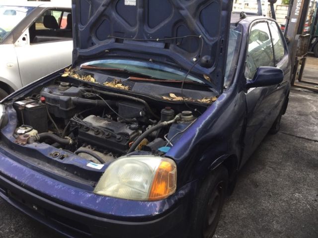 Honda Logo GA3